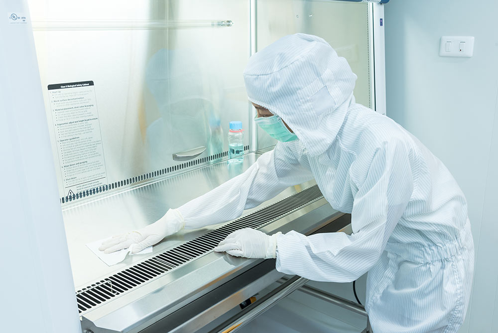 Gnotobiotic facility: How do you decontaminate a Biosafety Cabinet (BSC)? (part.1)
